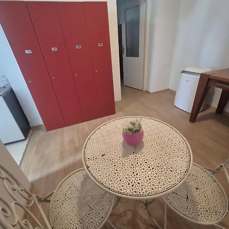 Auberge de jeunesse Hakuna Matata